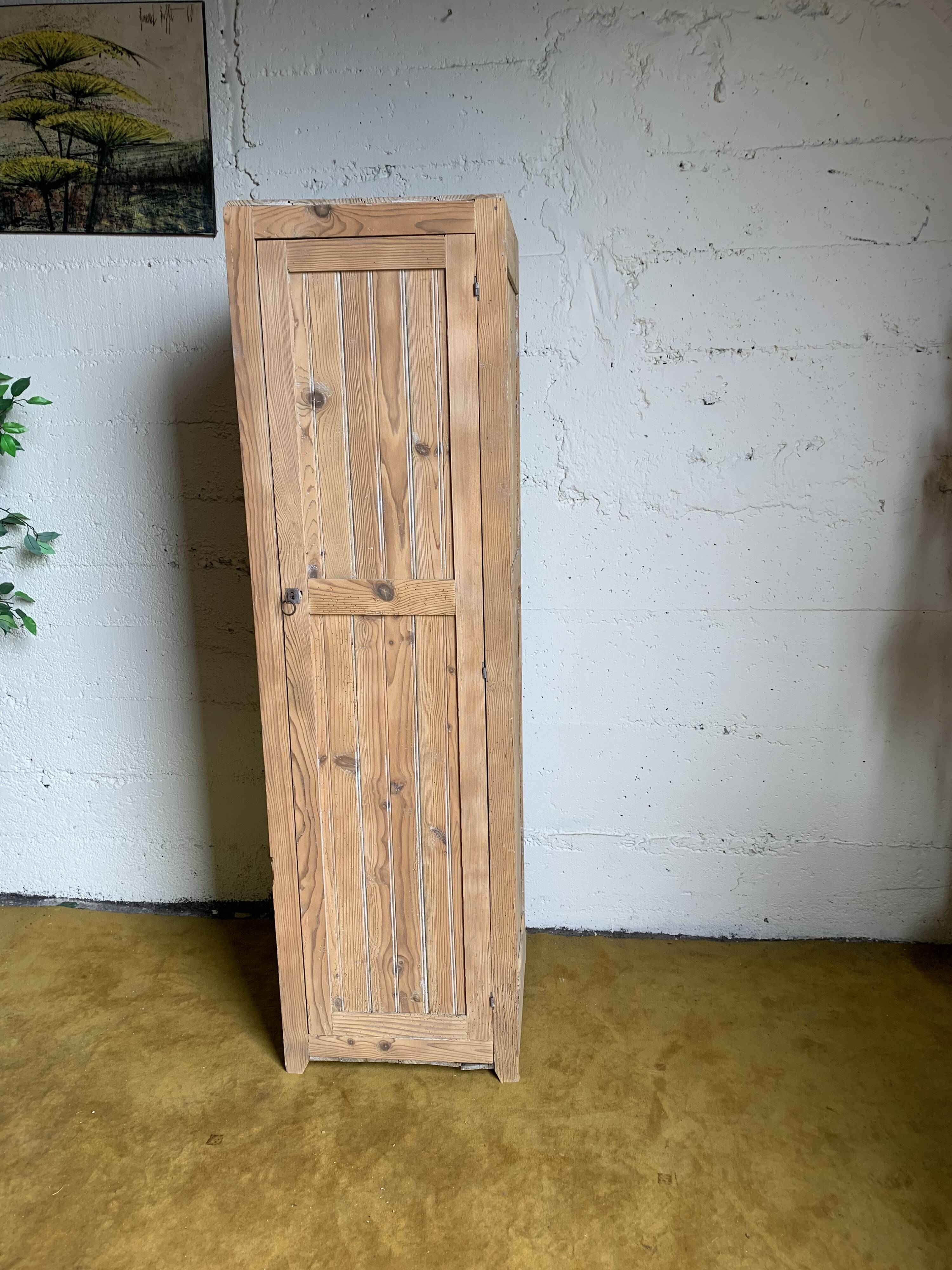 Wardrobe with 1 raw wood door