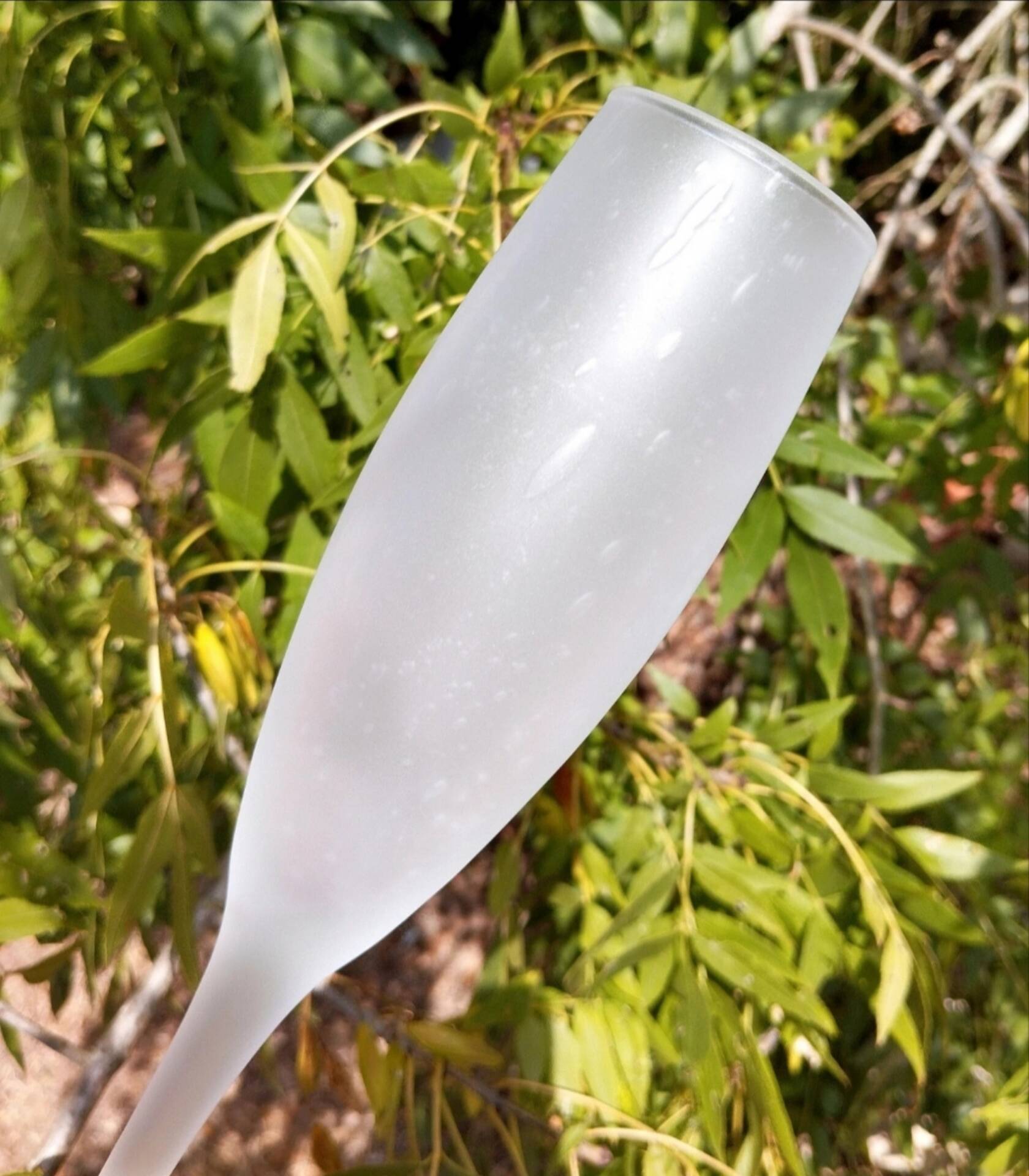 Lot of frosted bubble glass champagne flutes from Biot glassware.
