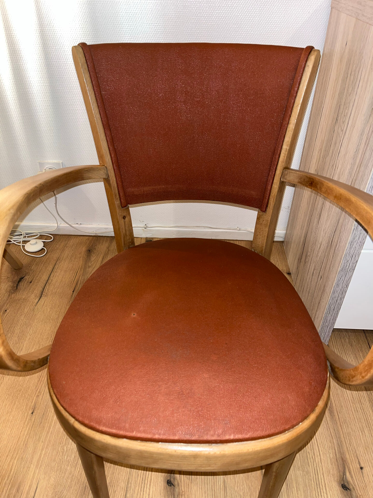 Pair of Fischel armchairs in bent wood
