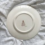 Assiette plate en terre de fer polychrome anglaise "Wild Rose" Booths