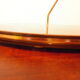 Serving dish, cheese platter in formica and golden metal