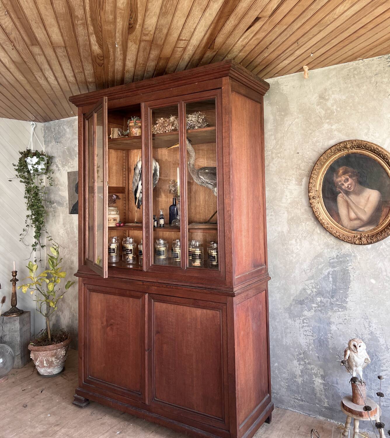 Glass-fronted bookcase