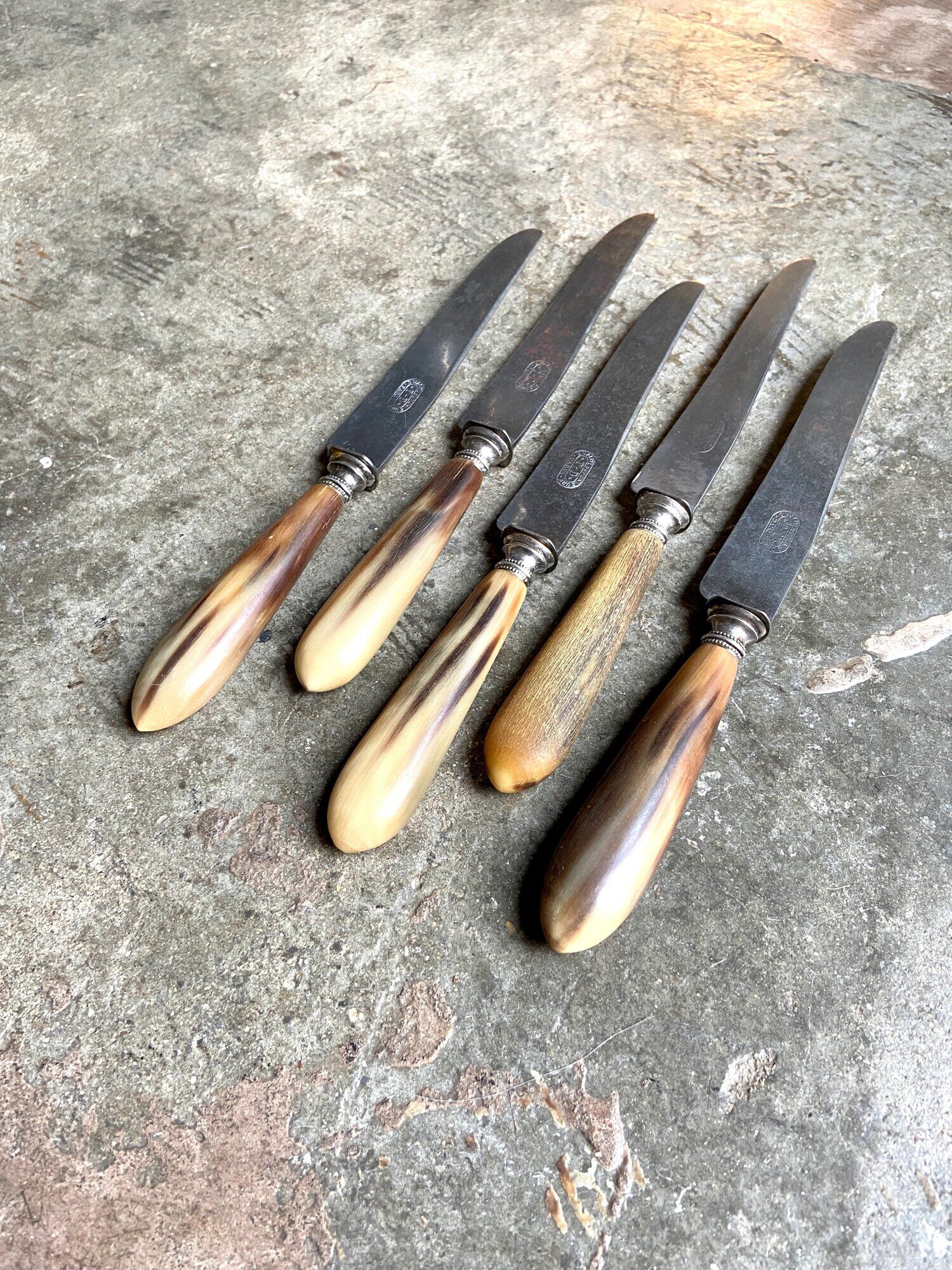 5 TD Paris horn and forged steel knives