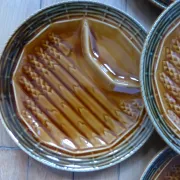5 asparagus plates, 1 Sarreguemines dish L1 / 200106