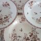 11 deep plates Terre De Fer Gien model Mai circa 1900