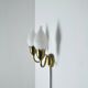 Fog & Mørup 2-Arm Brass and Opaline Glass Tulip Wall Lamp