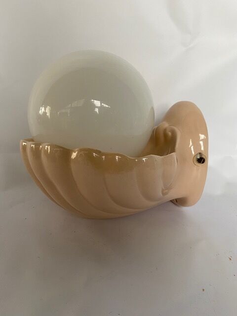 Seashell sconce
