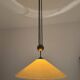 Large Adjustable Pendant Lamp with Counterweight by Florian Schulz
