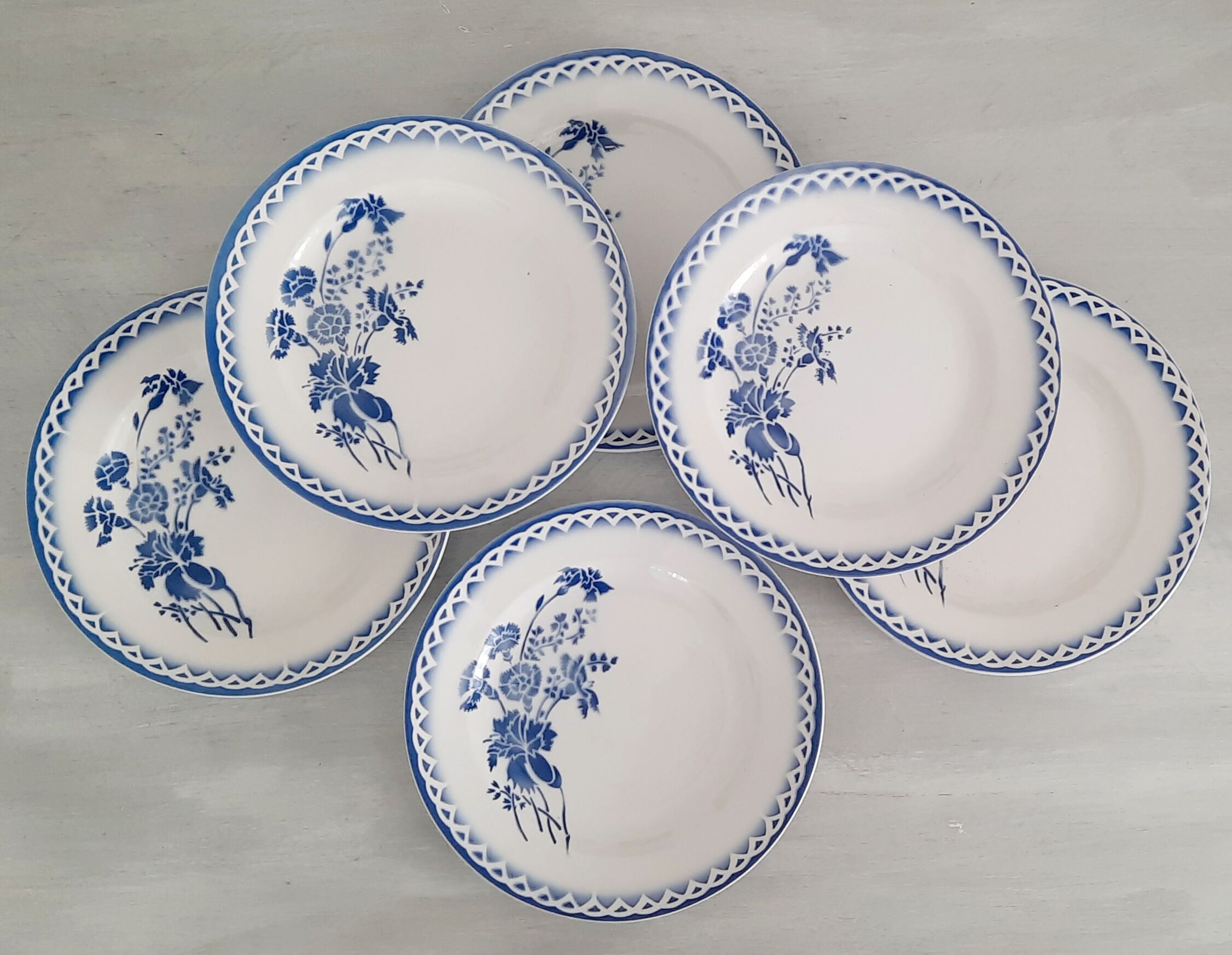 6 plates old earthenware Digoin Sarreguemines model annick vintage
