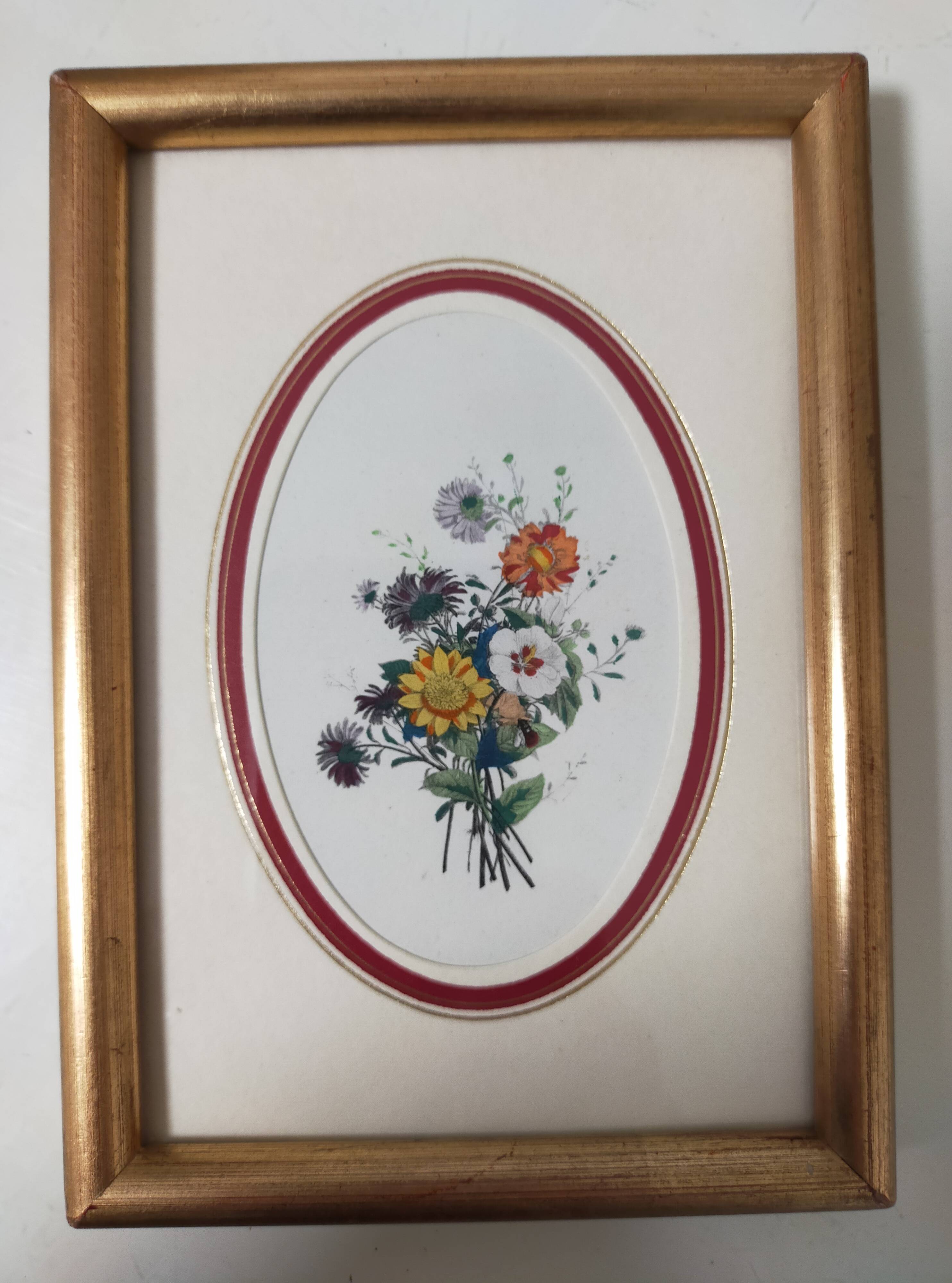 Framed antique botanical engraving with gilded wall frame
