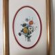 Framed antique botanical engraving with gilded wall frame