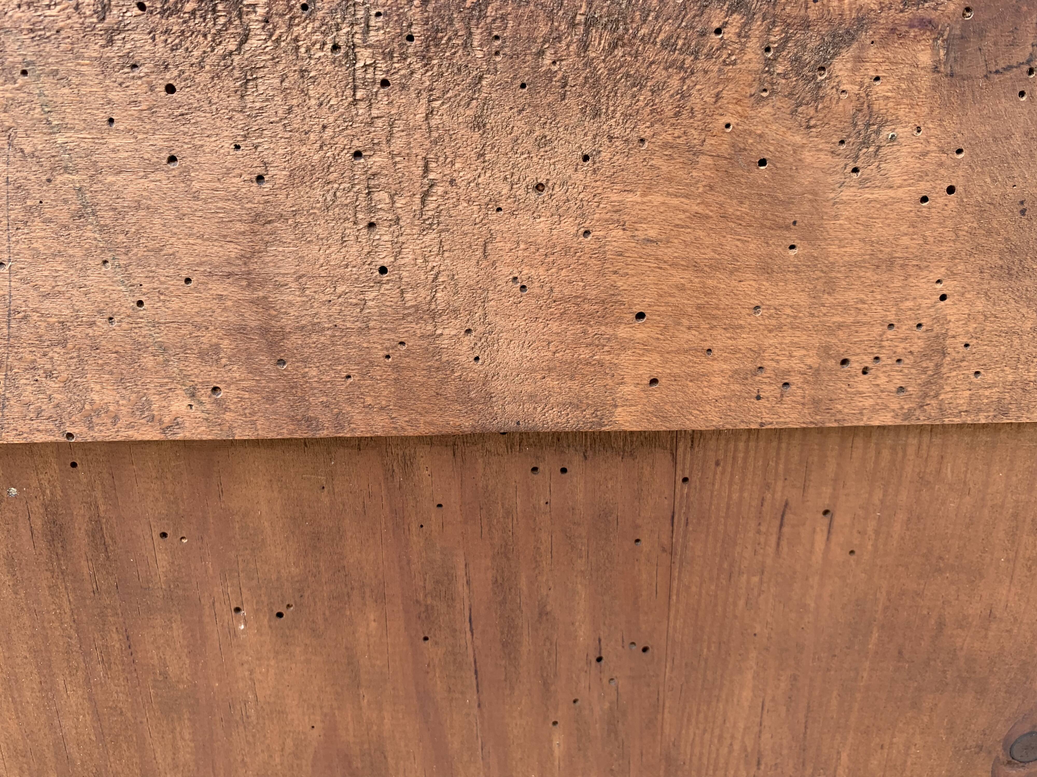 Art Deco dresser handles shells 1930