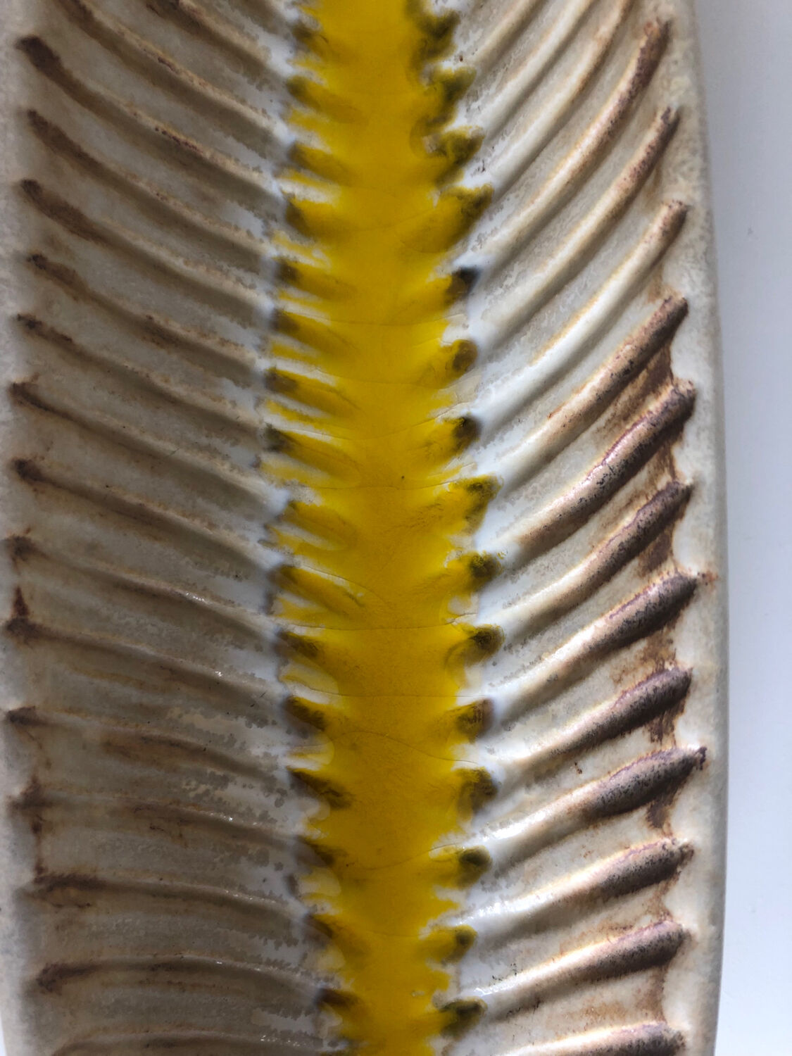 Empty pocket Jacques Lignier