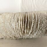 Large "shark cushion" coral 39cm