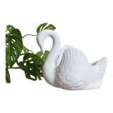 Swan pot cache