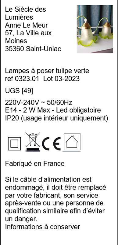 Duo de lampes baladeuses tulipes vertes