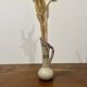 Vallauris Vase