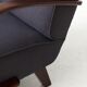 Fauteuil de type C par Jindrich Halabala, 1930