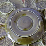 8 plates in khaki slurries