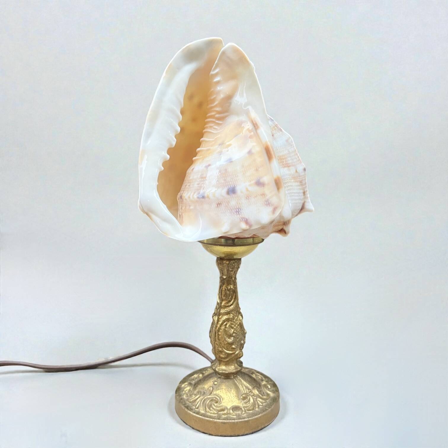 Cassis Cornuta shell lamp on a bronze base - Shell nightlight