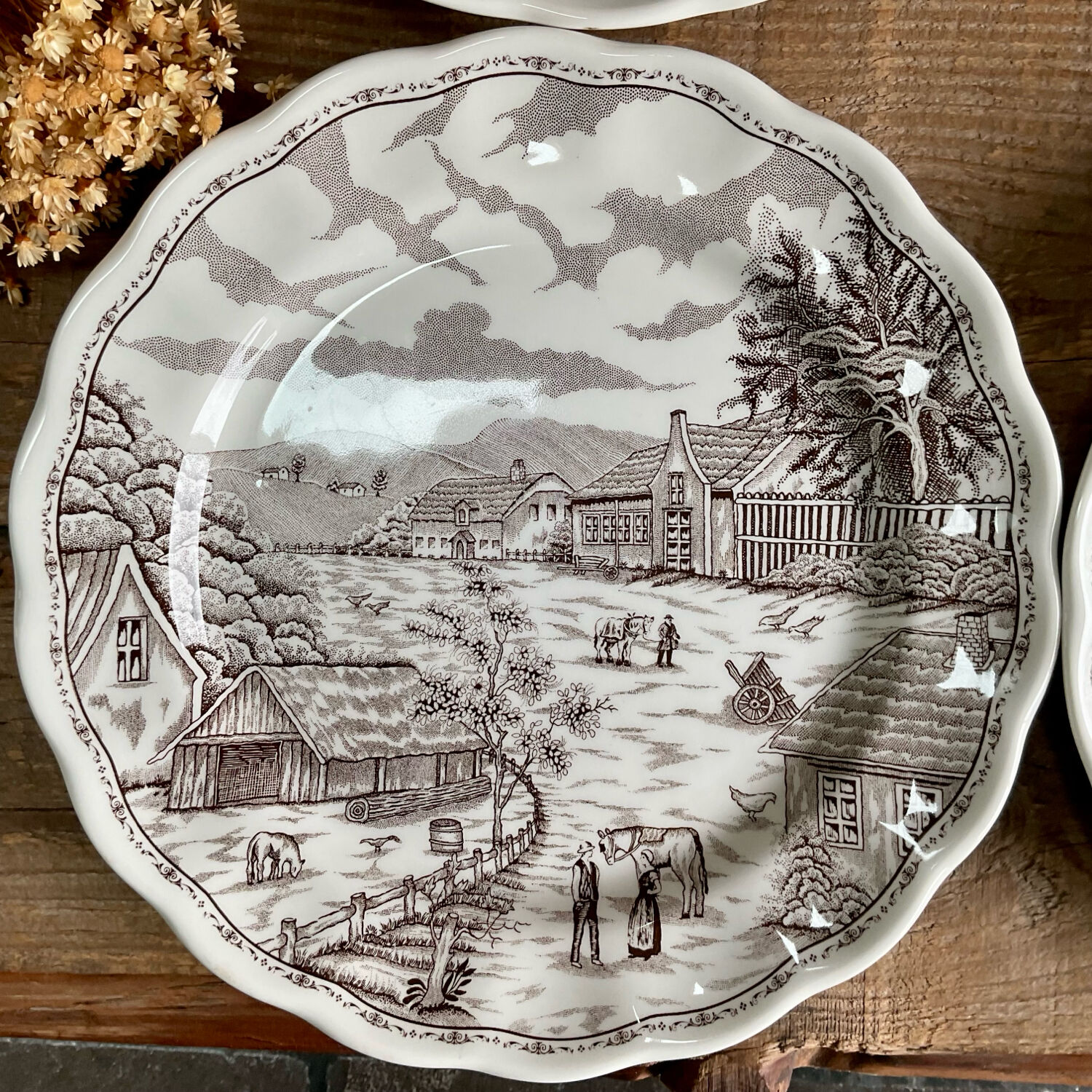 5 plates N Fontabesso Italy