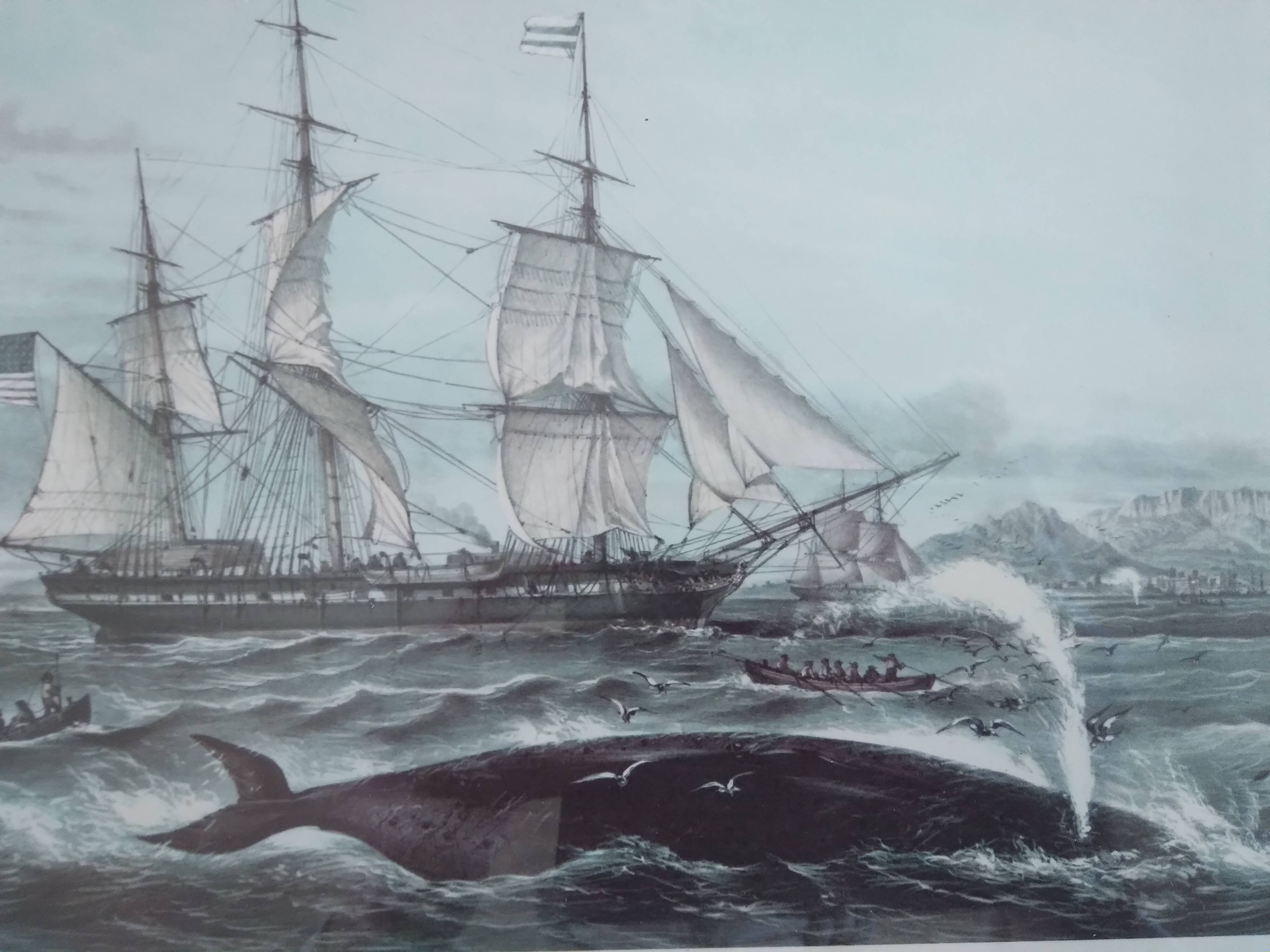 Ancienne gravure marine pêche Louis Le Breton