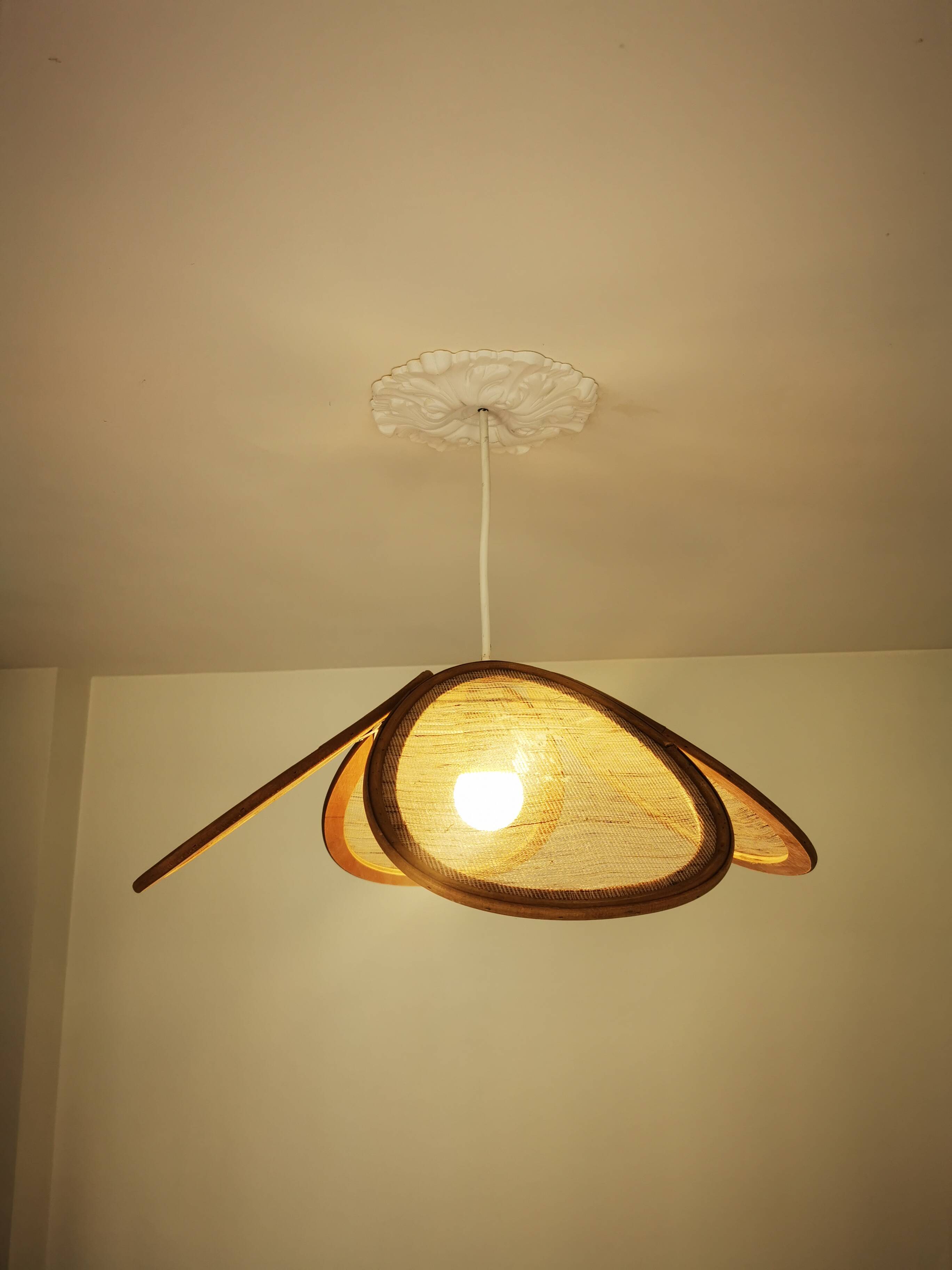 Suspension canvas and bamboo