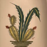 Plat biscuit à décor de cactus