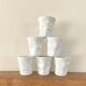 Six cups, glazed terracotta