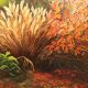 Painting with frame signed Patrigeon oil on canvas Pampas herbs