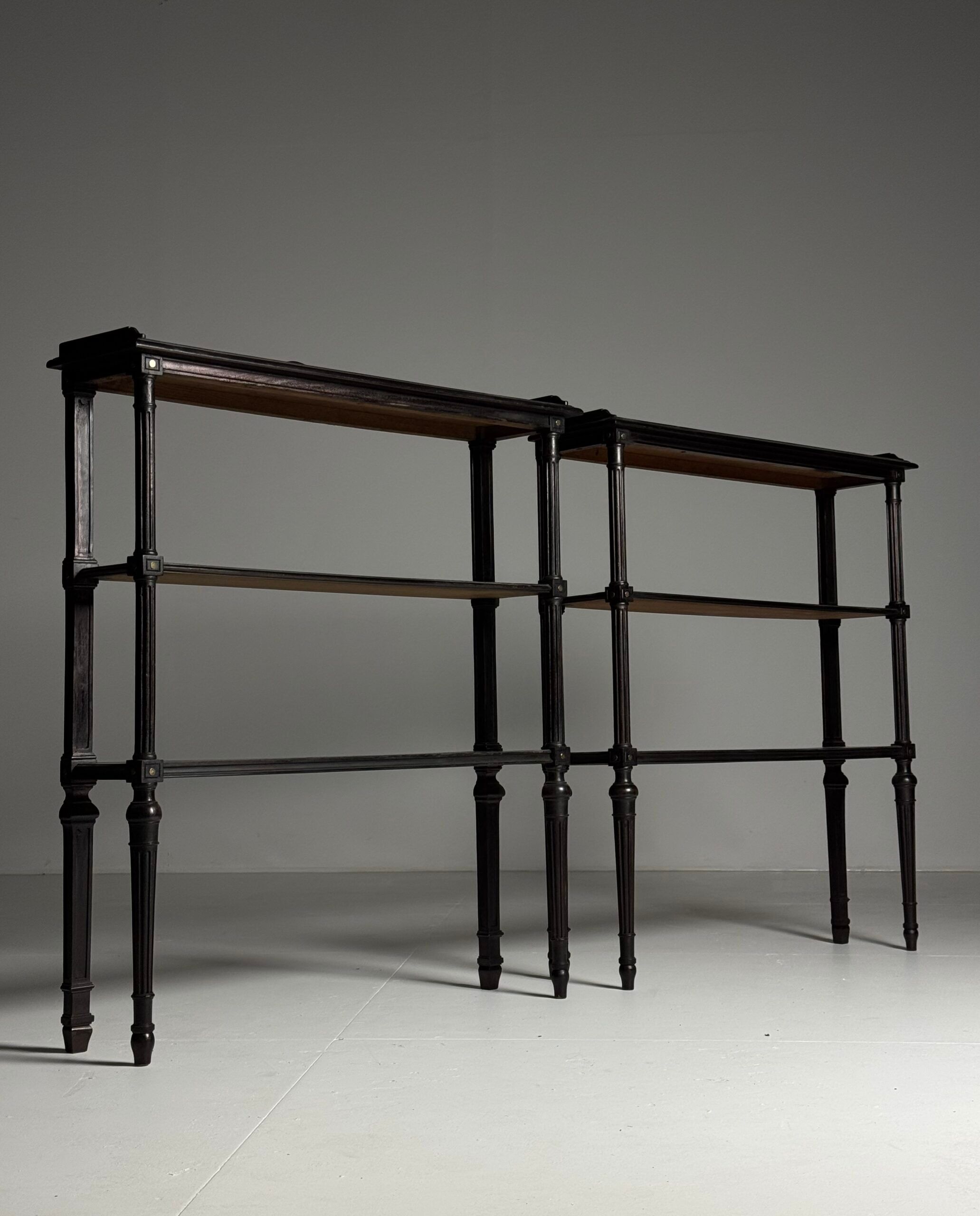 Ensemble de 2 étagères vintage