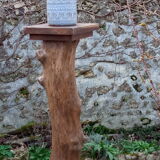 Brutalist tree trunk and oak saddle