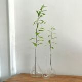 Vases ballon en verre