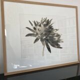 Original framed photograph by Denis Brihat 1994 print 1/6 numbered signed