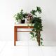 Vintage Scandinavian teak and metal planter
