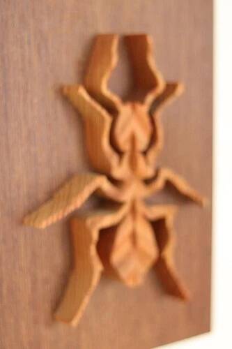 Plaque décorative en bois avec motif d'insecte