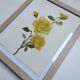 Vintage Botanical Print from 1968 - Golden Rapture - Rose Floral Illustration