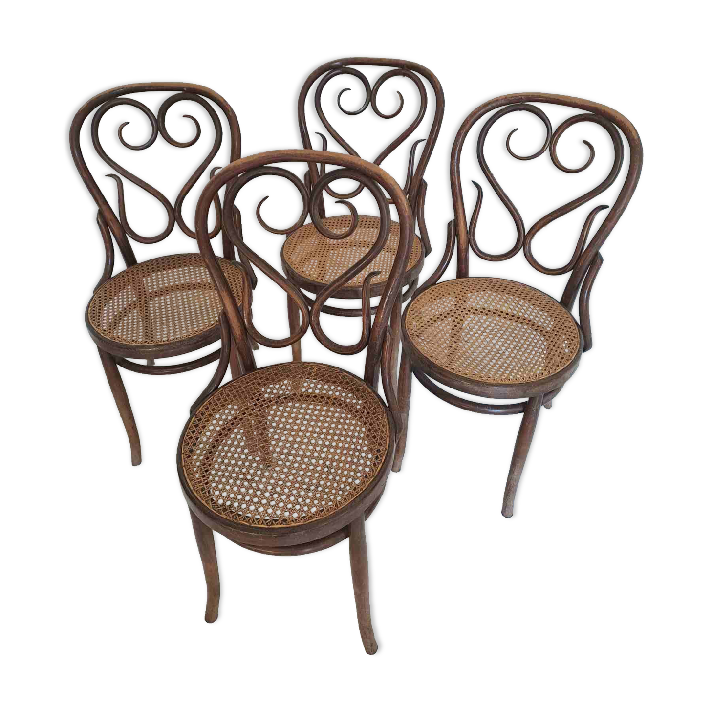 Bentwood chairs made by Sautto and Liberale