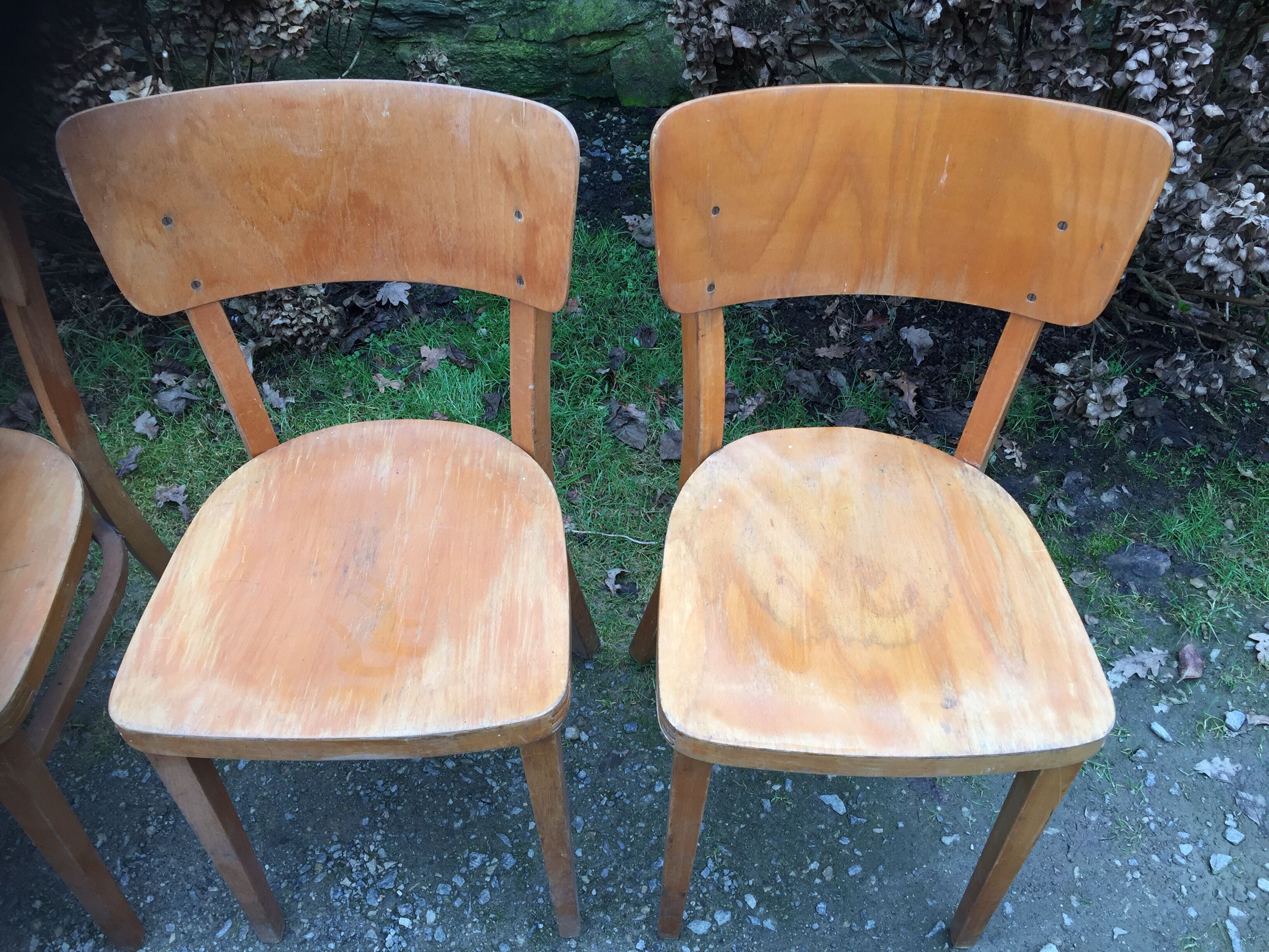 Vintage chairs stamped Thonet in curved beech wood and curved cp backrest.