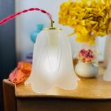 Walking lamp or suspension opaque globe shape of Art Deco flower