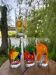 Vintage set of 4 fruit-decorated orangeade glasses.