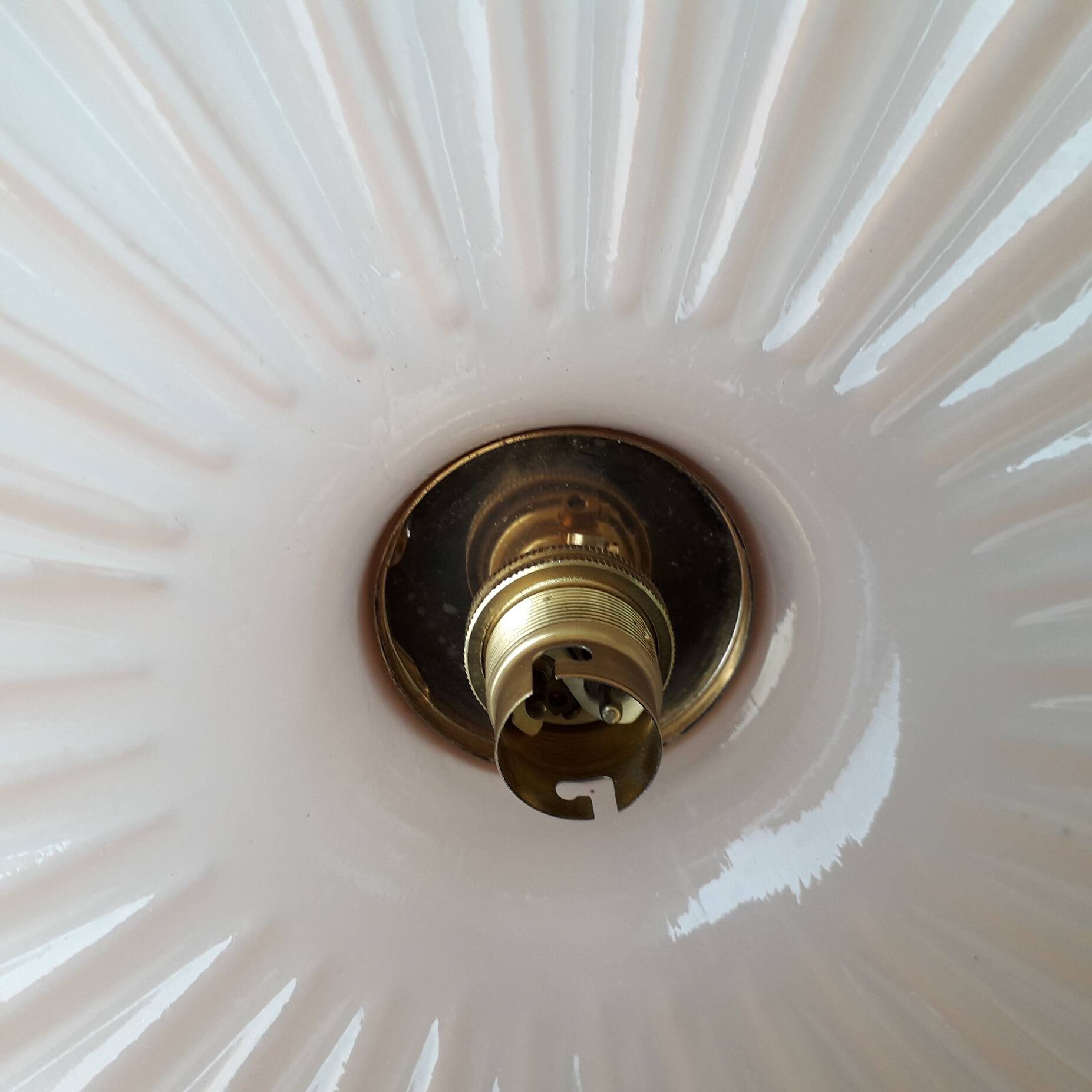 Suspension rose
