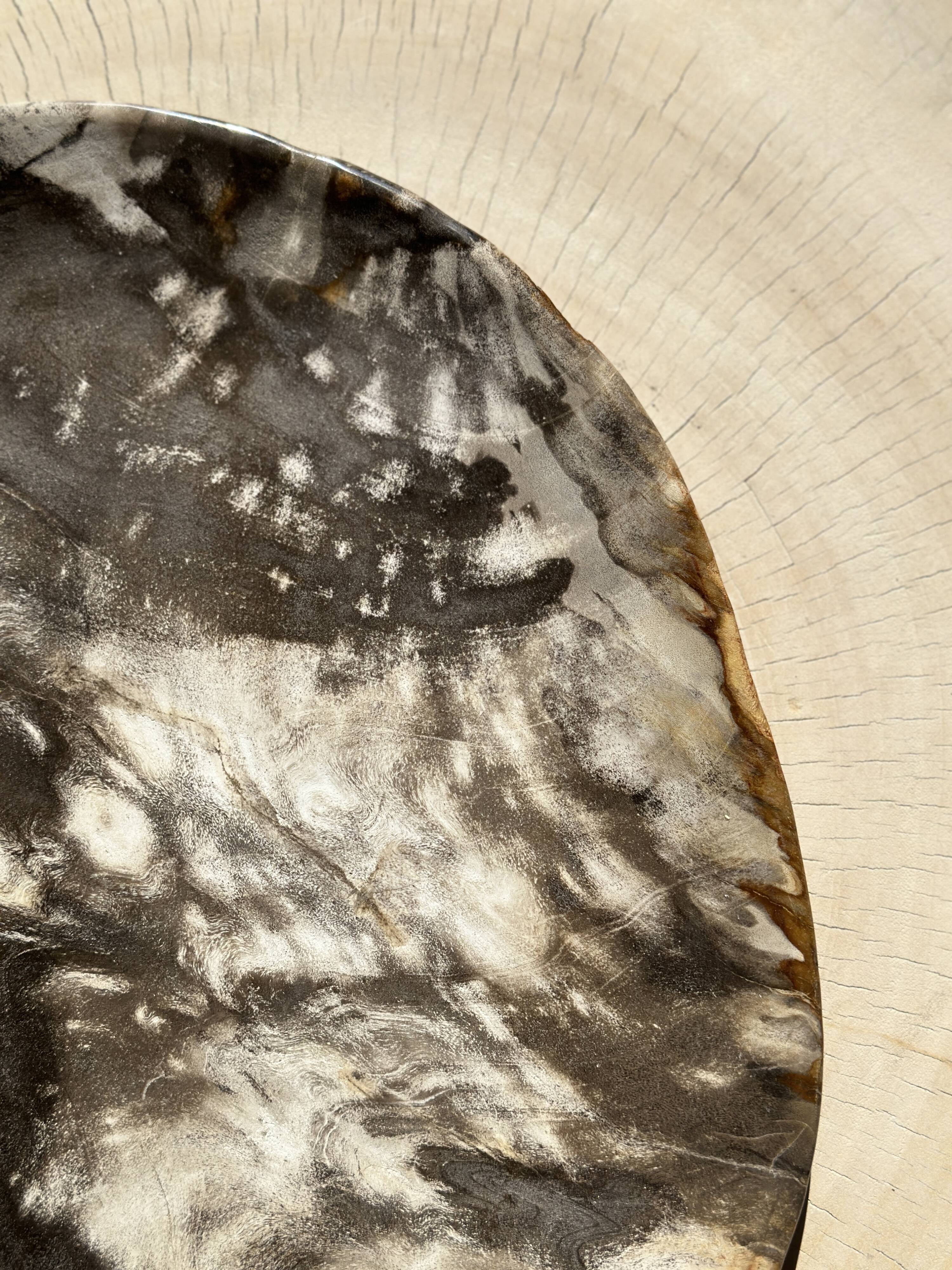 Very large pocket or dish in petrified wood