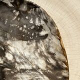 Very large pocket or dish in petrified wood