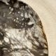 Very large pocket or dish in petrified wood