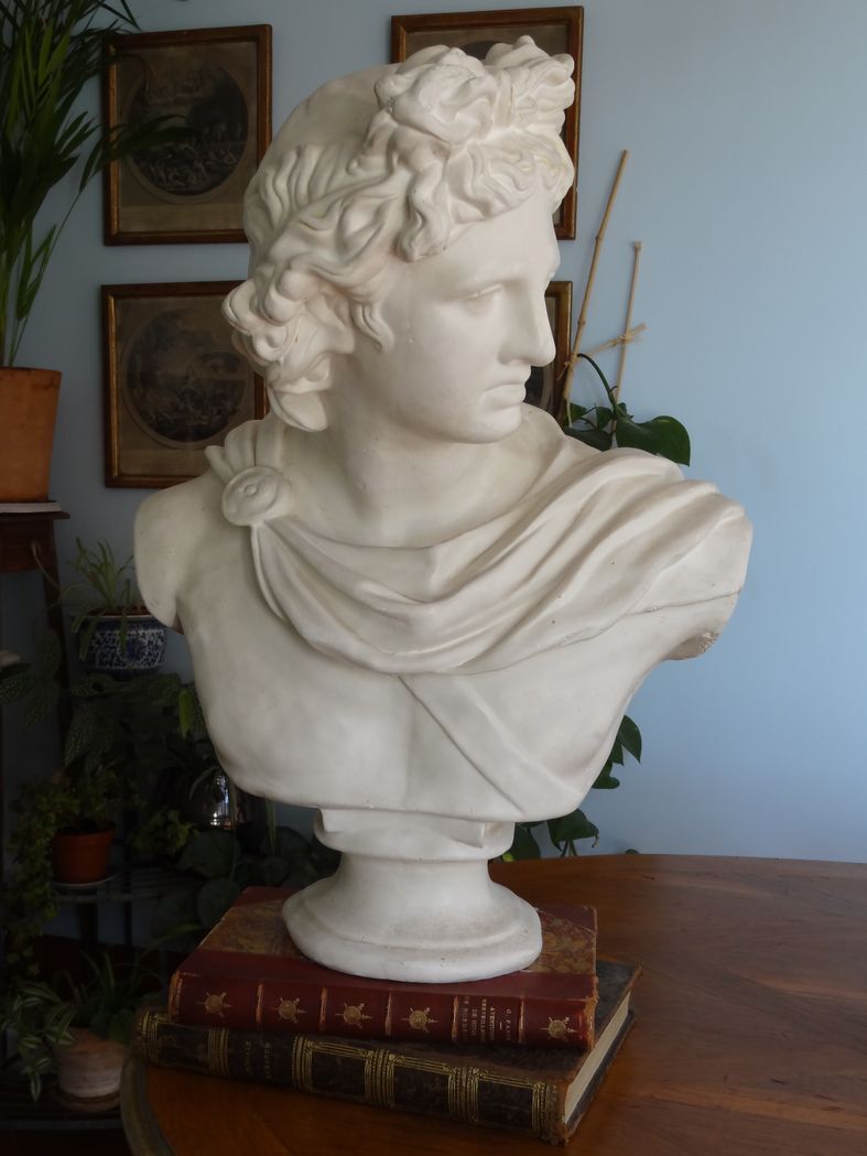 Plaster bust in the antique Apollo of the Belvedere, 70 cm