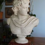Plaster bust in the antique Apollo of the Belvedere, 70 cm