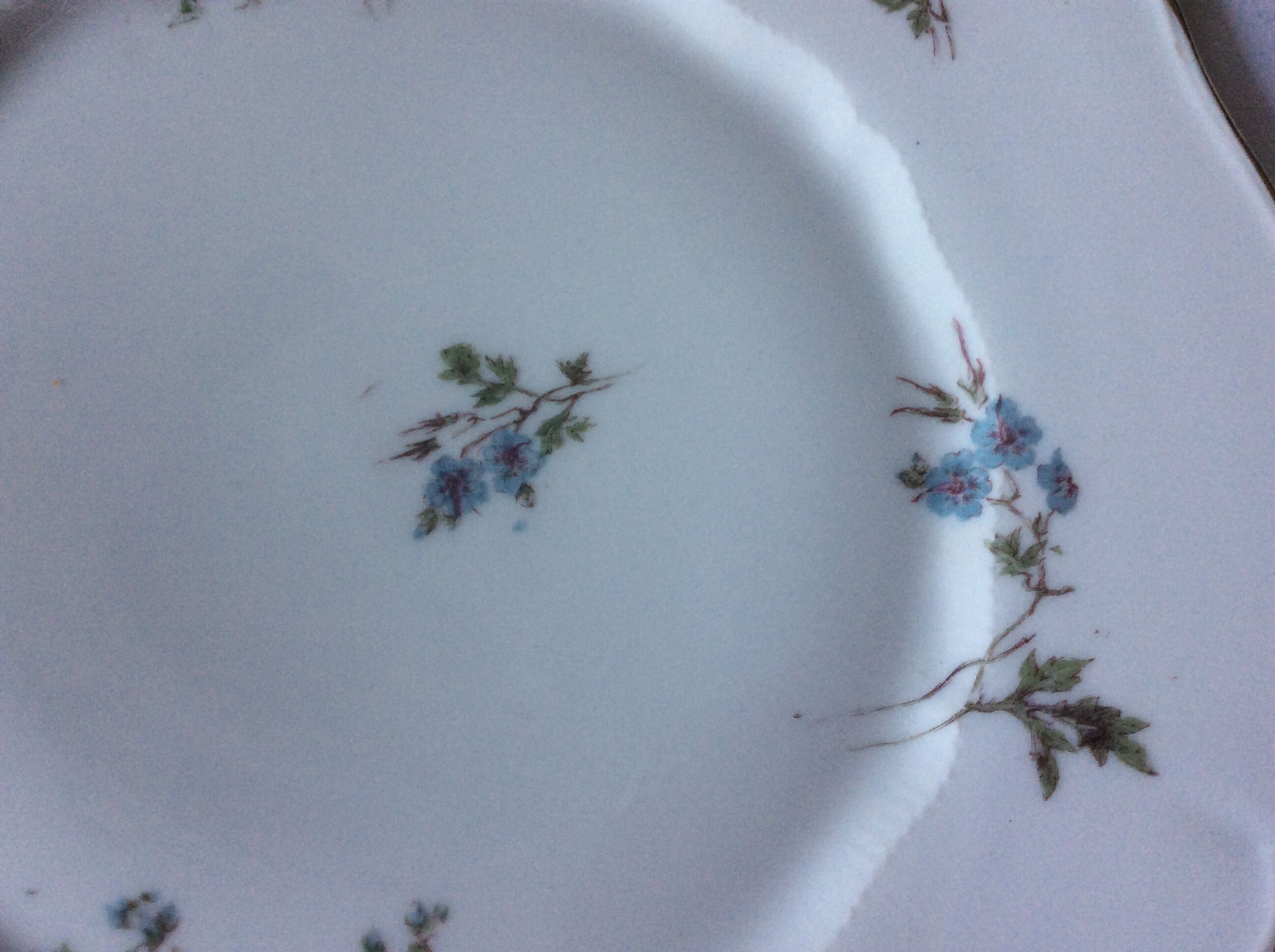 Old Theodore Haviland muslin porcelain plates