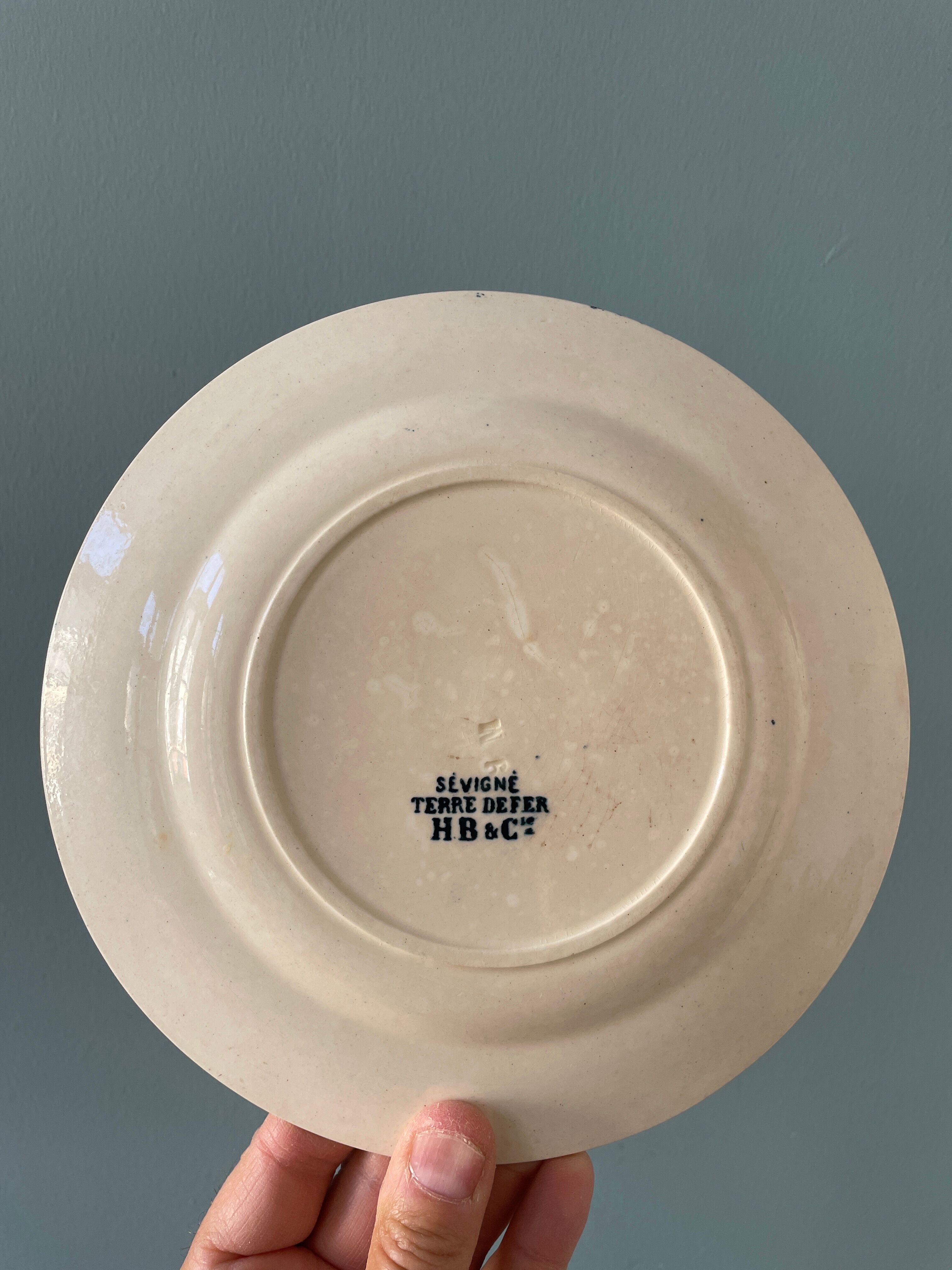 Set of 7 plates Terre de Fer XIXth mismatched