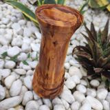 Olive tree vase
